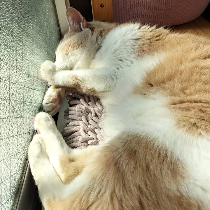 1012f161 f0fb 42d9 b356 730fdec76221 1651620891041