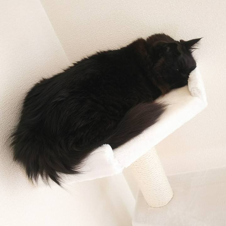 1012f8ea 1c65 4b15 9a88 cf26b10a1255 1549161816370