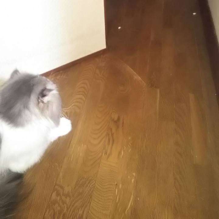 10132942 08bc 4beb ae98 790d25c69acd 1625133646837