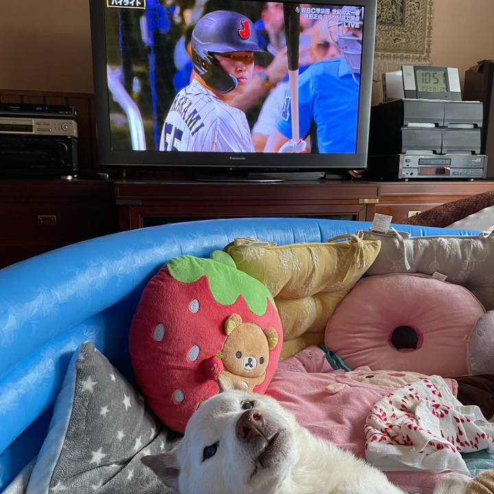 10134772 0fa7 4ab1 9745 8c2d4d02ed53 1679363514811