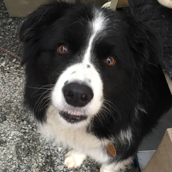 101357dc 8608 477b 8837 519ac11fa08a 1529714536680