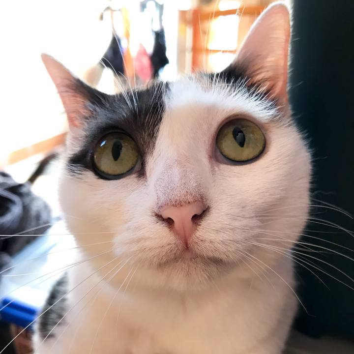 101362de d13e 4e72 9c64 38ee0864c339 1532996101961