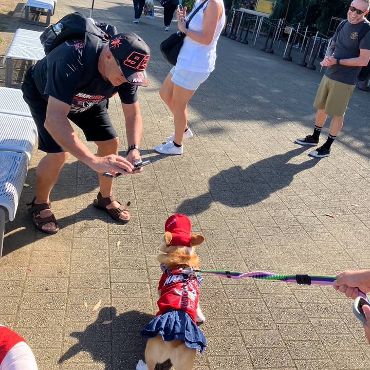 10138d0e a7d3 4796 b468 50a9473e4e1d 1758943677855