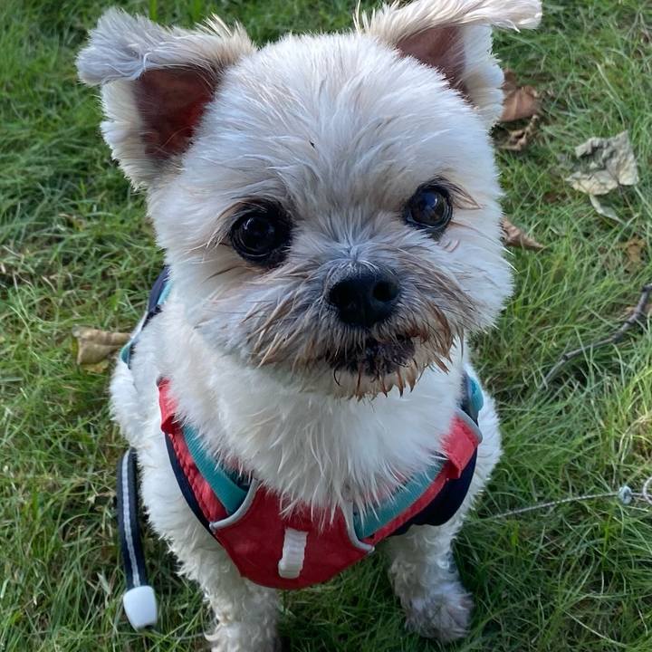 1013b791 c20d 43d3 8123 ffebb3d981ec 1754748024092