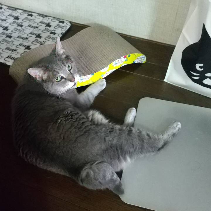 10143595 43d4 4262 bd58 9a9b4028fa58 1656713411945