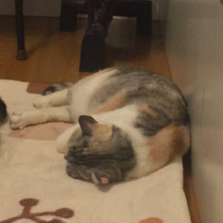 101447f7 08f8 4f30 8994 a772dcced23c 1559293387150