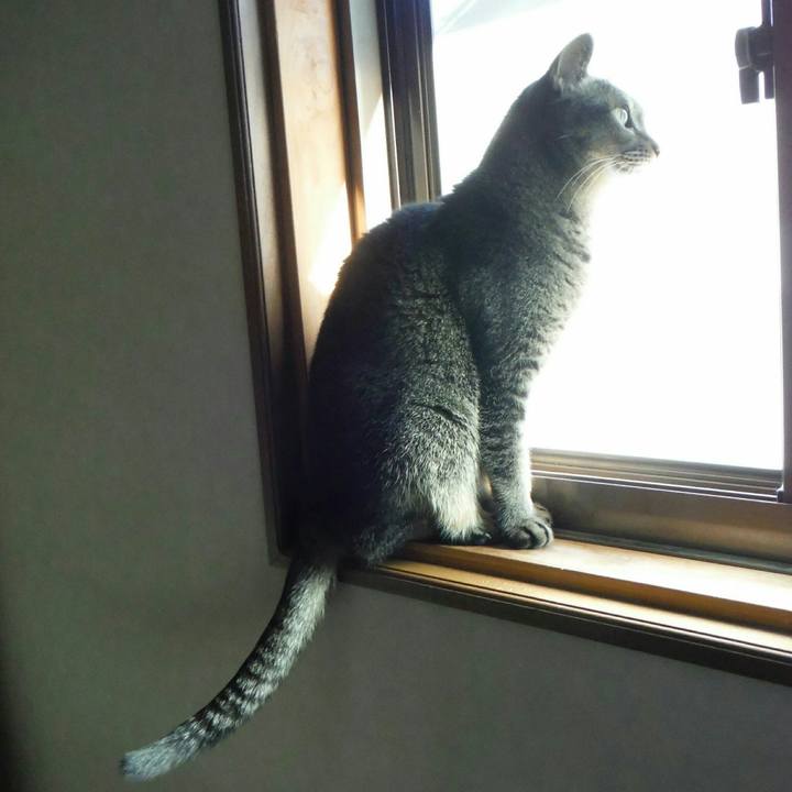 101486f1 2490 4e8c 8c53 9f47b654a6b9 1516338281746