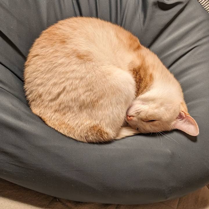 1014ad4d 76d3 466e a52a a014dfcdfcdc 1703148591202