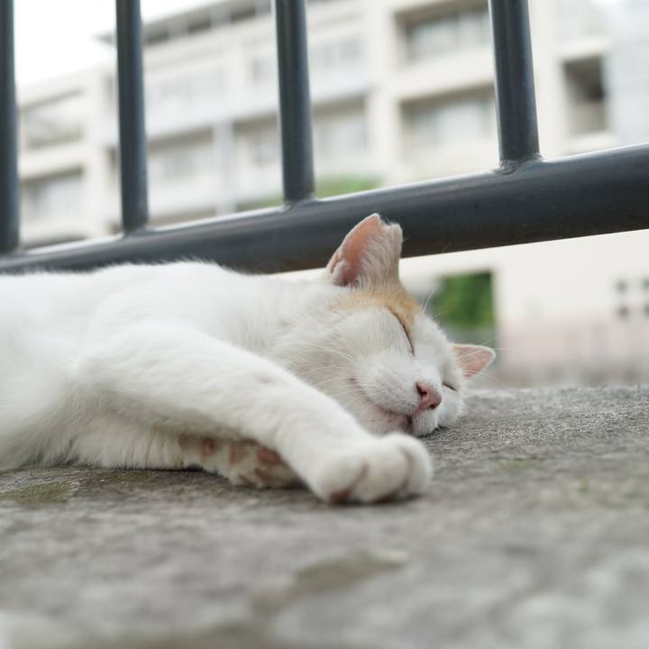 101502b2 2f2a 458e b2ac d491d88ee7cf 1536747097829