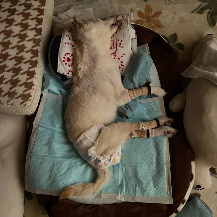 101532a7 90d4 4090 83c7 1203f1a6aa72 1687902885301