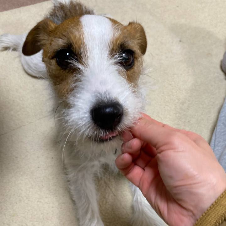 1015422f b7b0 431a ac68 d794040a3d73 1734441800786