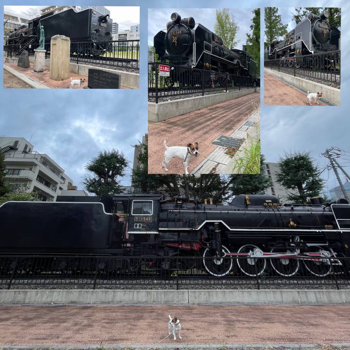 10154f7e d4ce 4e7f 83b6 35b2a24d8d7d 1694160929755