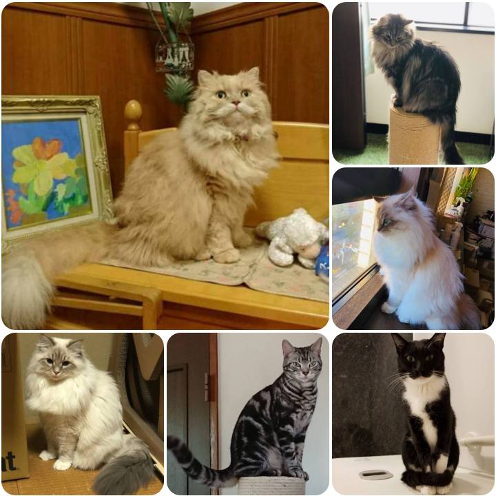 10157609 6fd0 4cca 84d3 c218e1780ba9 1557104254723