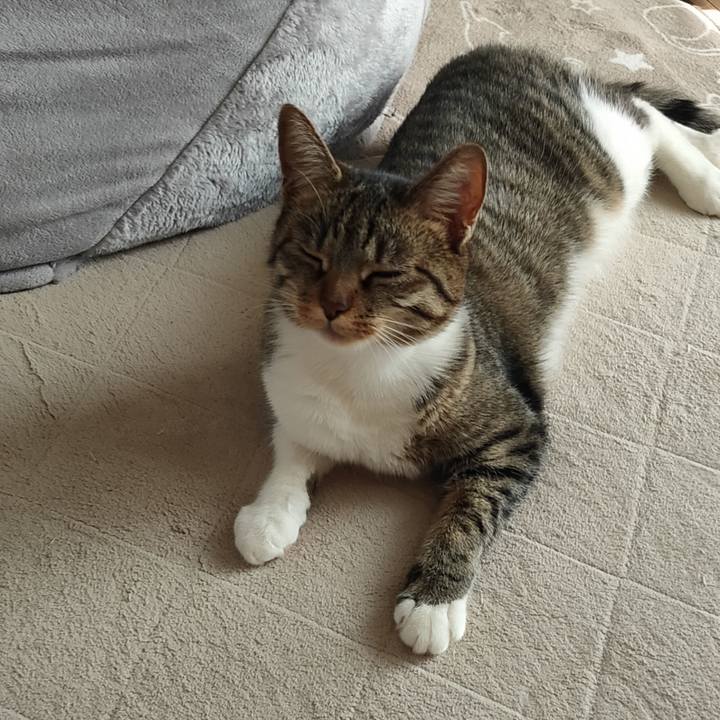 101592e4 e2ea 4d0f 988d db940a587d7a 1679545322596