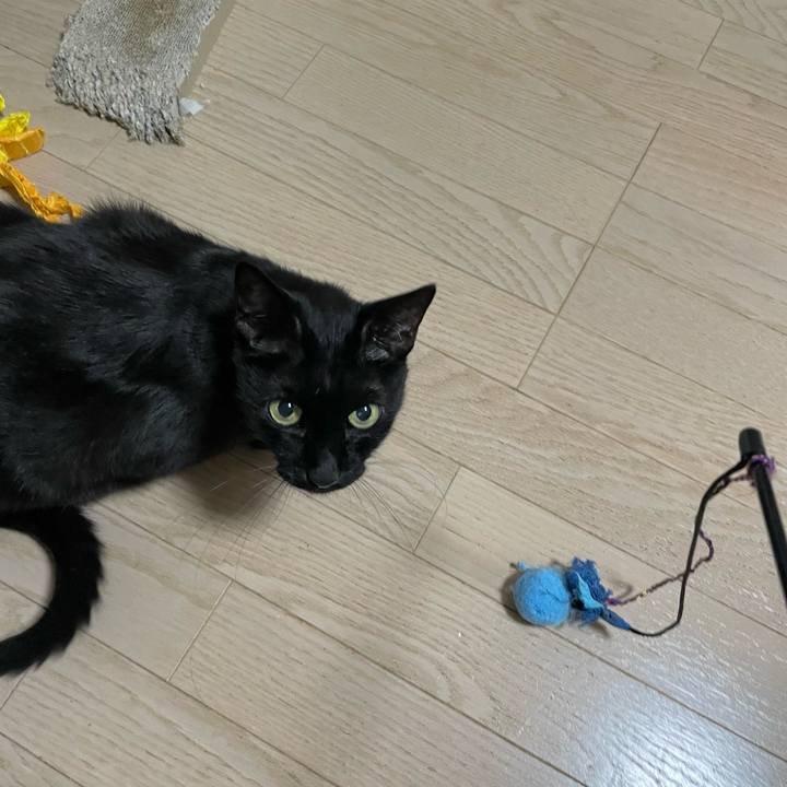 1015aa07 1e3b 4b93 a369 7bd20ae7287f 1755690316426