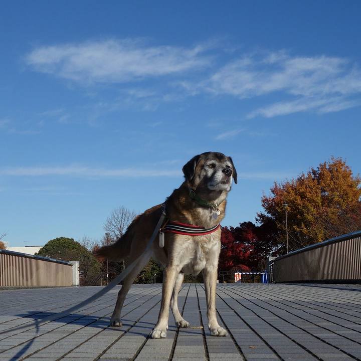 1015abc1 52fc 4741 ad9c e33b7ac01351 1512176525529