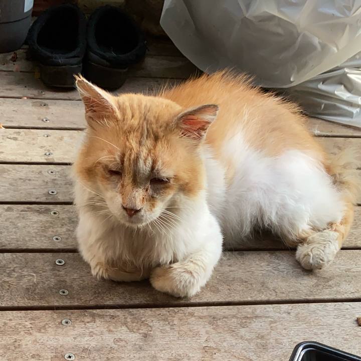 1015be16 dff5 4d79 a0ef da2804c6911f 1752921783070