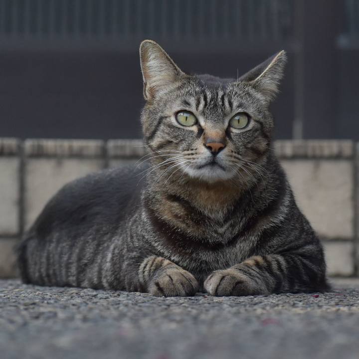 1015f02a c26f 4a91 8e69 6199be1073cd 1554112686364