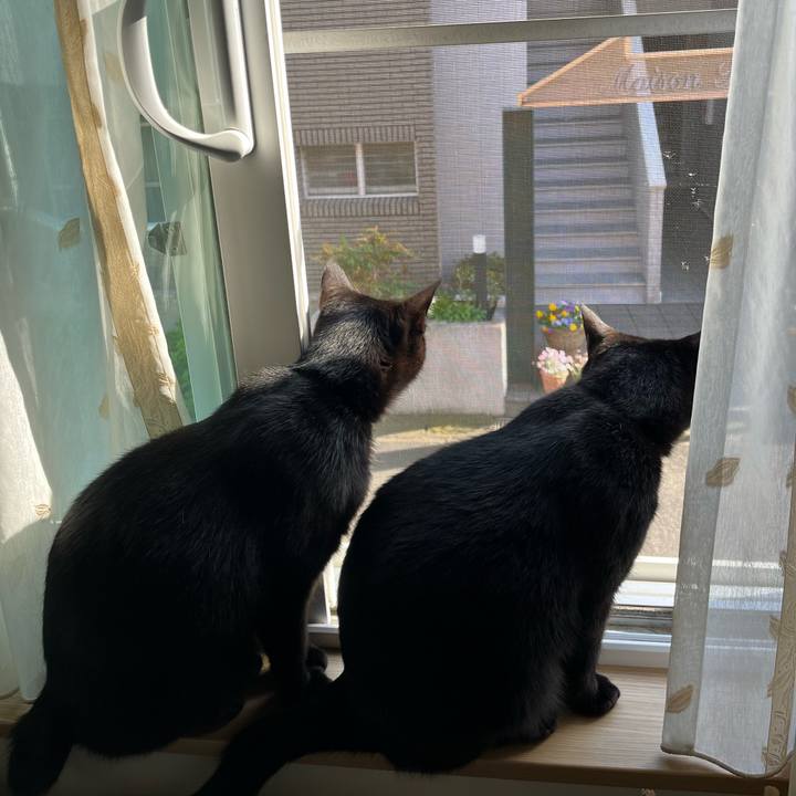 10160f84 d56b 4cf8 93a4 27c63a7dfeda 1680908508896