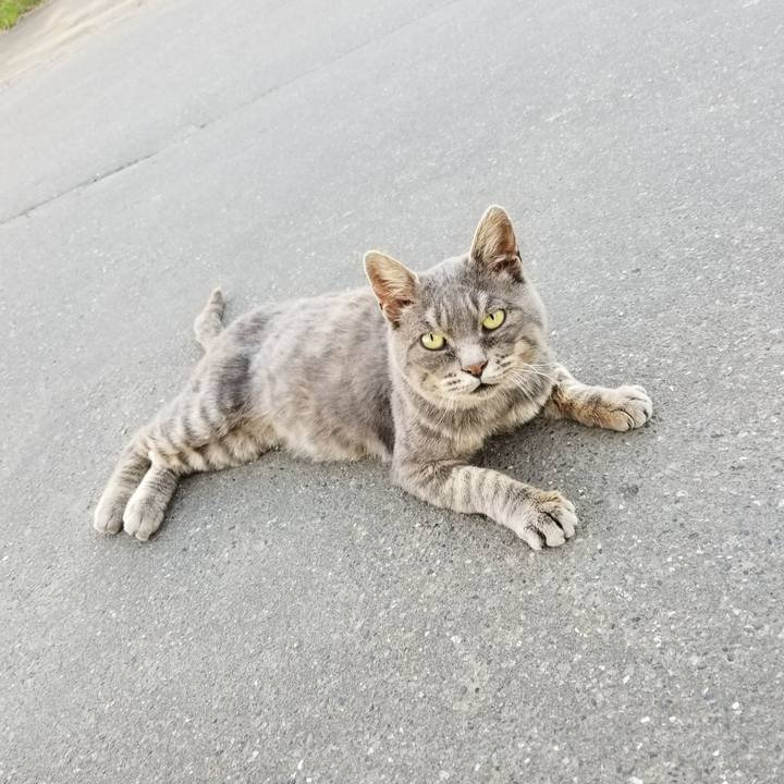 10166843 ef7e 45d4 9d3b b954c45dde3b 1537451225264