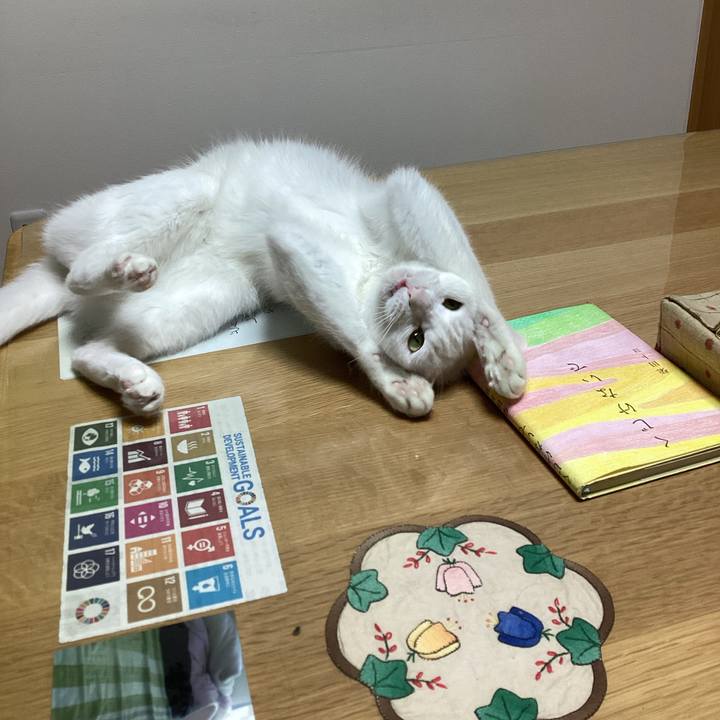 10166b78 2bff 41ed 938f 175f8ce0912c 1669430953402