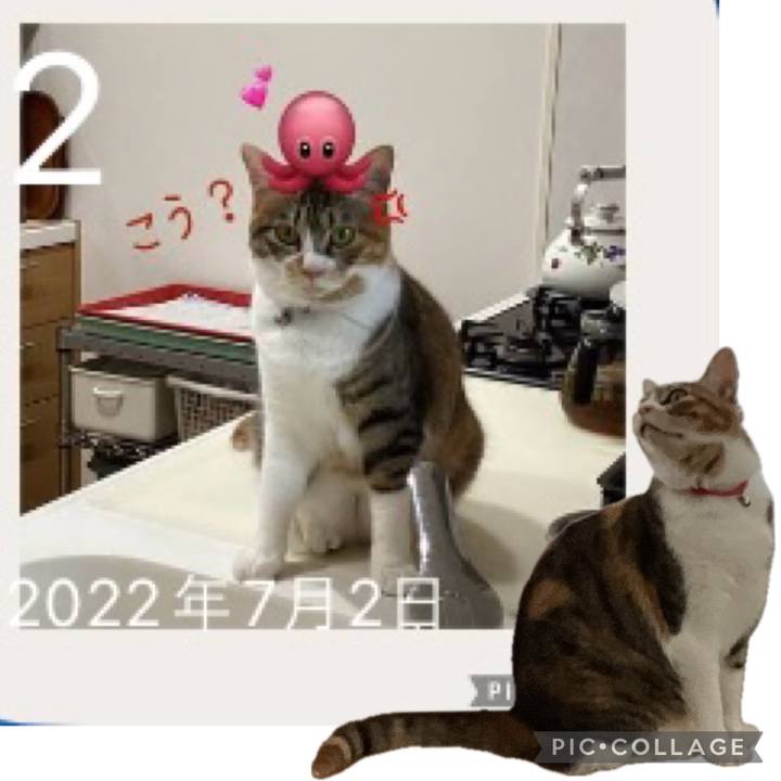 101673f1 336a 458e 94ff 23955ef9a160 1719876422398