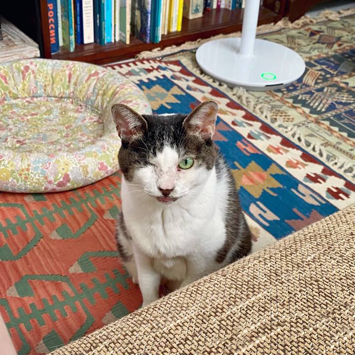 1016ef4e 0f6e 48d1 9273 4d497fb29a99 1595490764624