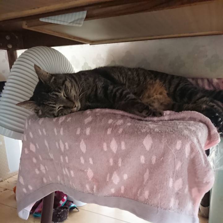 10170424 9266 4962 bd02 e2d468ed8d4c 1642996766255