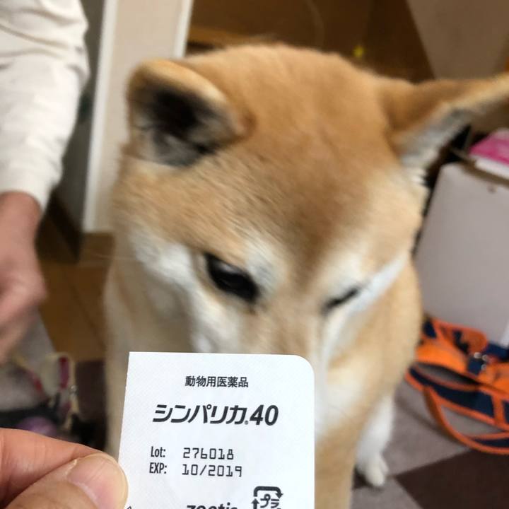 10171655 d4ed 41ad 966a 5354b15e19ff 1556711778138