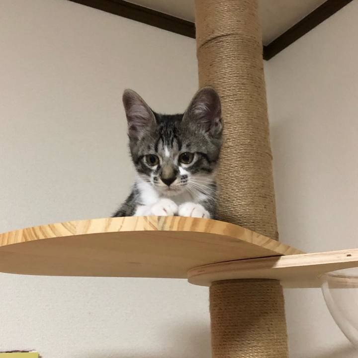 10172eca e116 4290 b6b4 dd55e1ceebb6 1636637378583