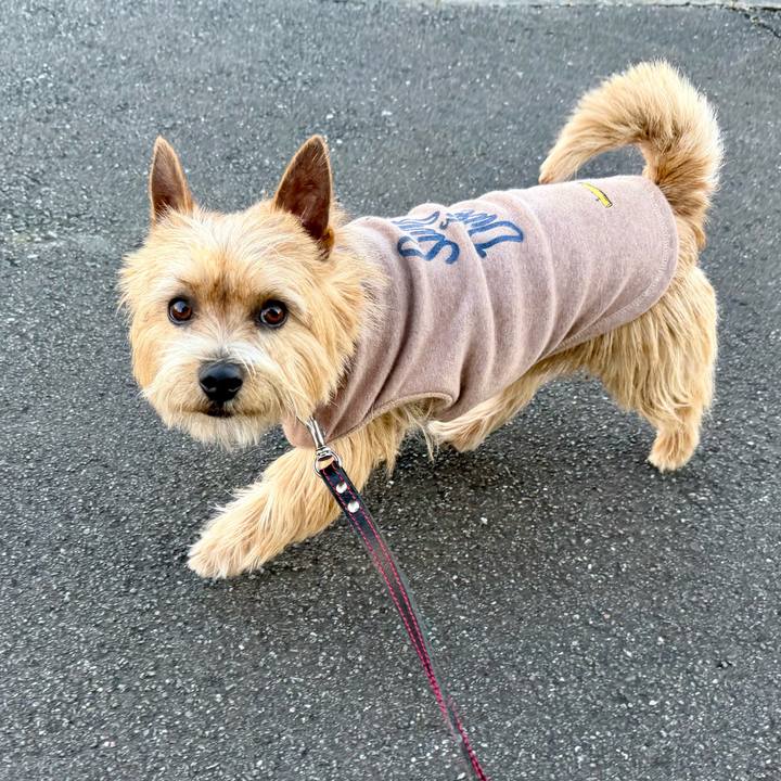 10174231 7179 4764 8045 e3879682f5f5 1770904396756