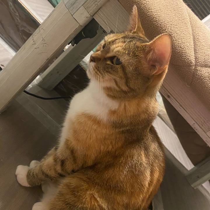 10176bfc 7355 47e2 a7f9 b33f91f467a3 1613408875809