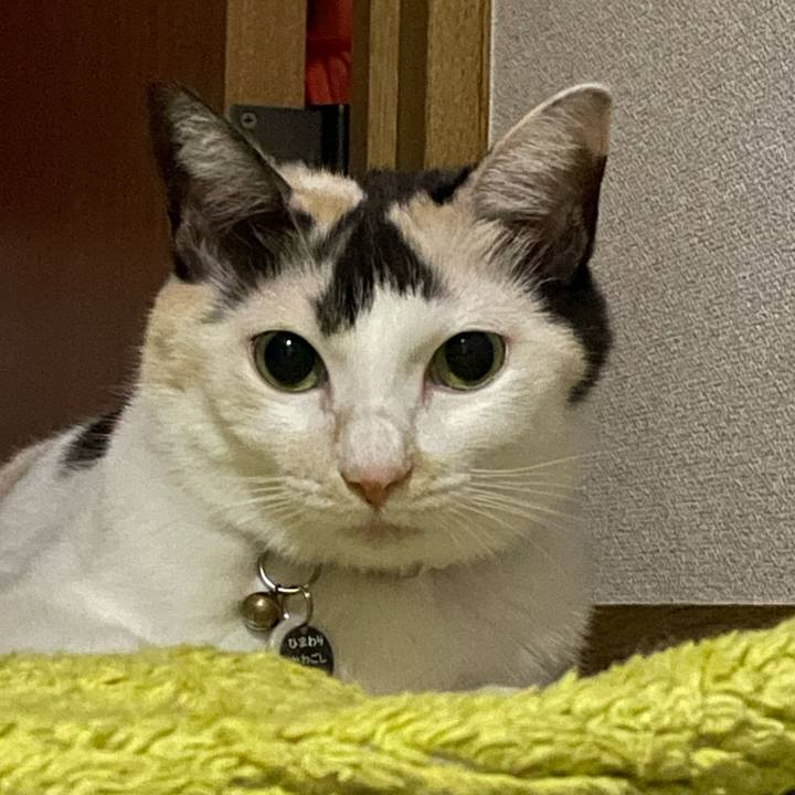 1018090f 5f88 4688 87cf 3f5e9f8cf3ce 1760798671768