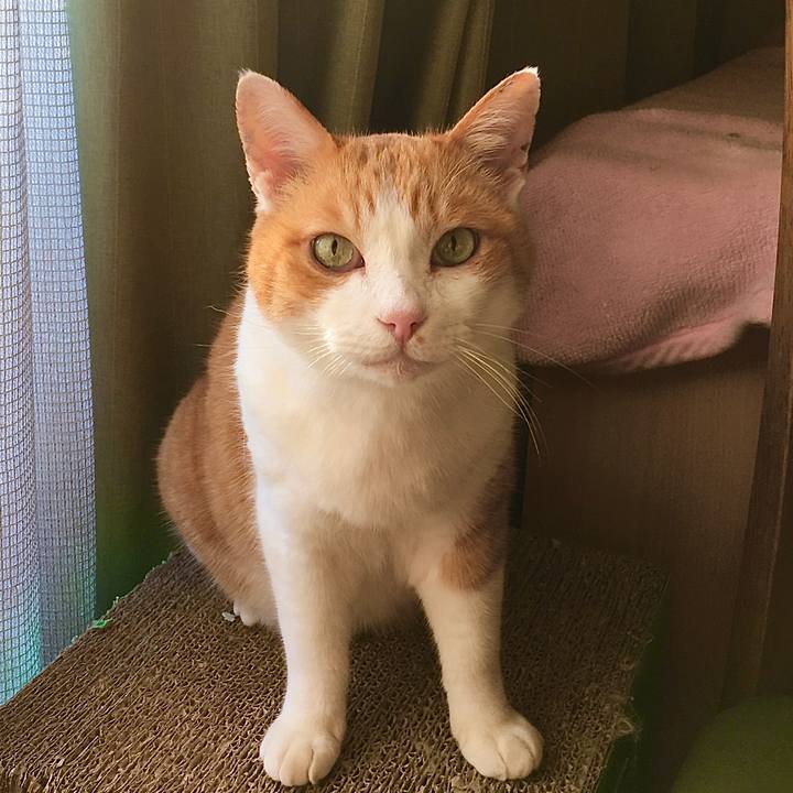 10181ae8 38d0 41b3 99be a91793795f6d 1611872544614