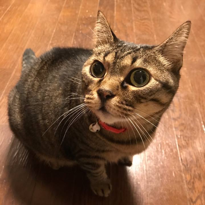 10181b15 9a0c 4fba b7ff 8a1f577e7905 1635424568621