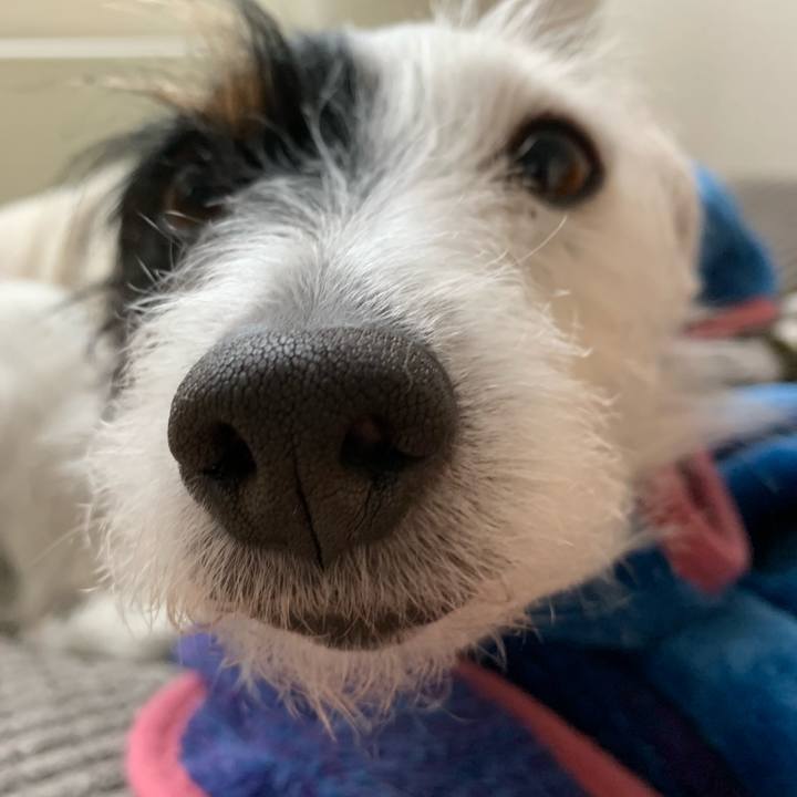 101857e7 2848 49d7 8765 d4e514d64965 1551653711534