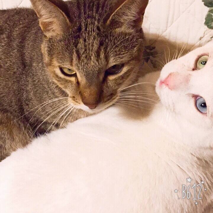 101867bd bfe3 4915 9049 68cca69937a5 1508587325727