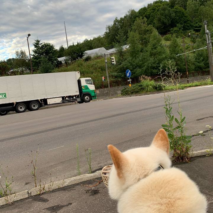 10187084 49a1 43a2 9397 cb0537e07a83 1597958585751