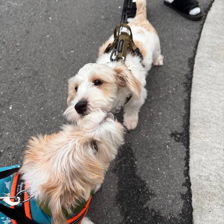 101882a3 d11c 490e b88c 21eacc6fe404 1761179884714