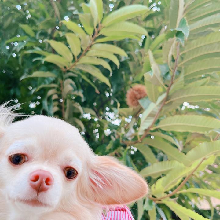 1018cc2b 1ef4 425e 9b7d 2ee2e3d5b78d 1664877084910