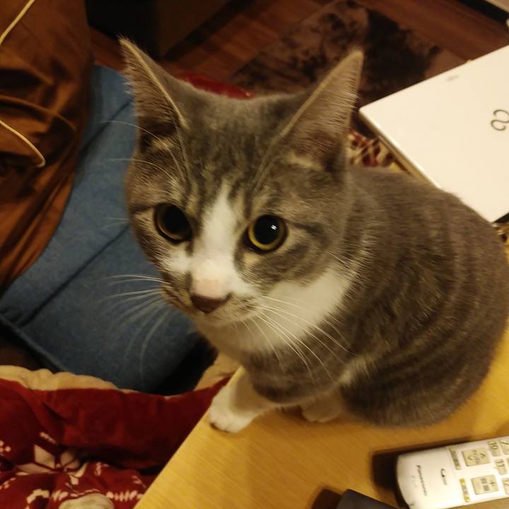 1018f34d fccd 48a6 8971 6afc03598c42 1575206582769