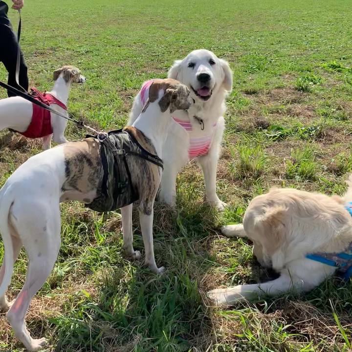 10191377 8d41 40f0 bfe5 8aed4ed39a3a 1570677548790