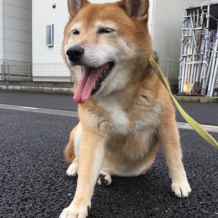 101978a7 add7 4ce2 b50a 5698ddd9ac90 1594266838229