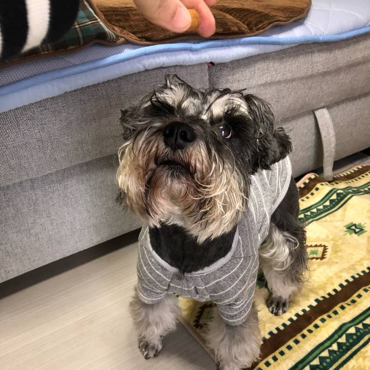 10198fe6 1711 4b59 96c5 a2ffd43d4862 1619919683491