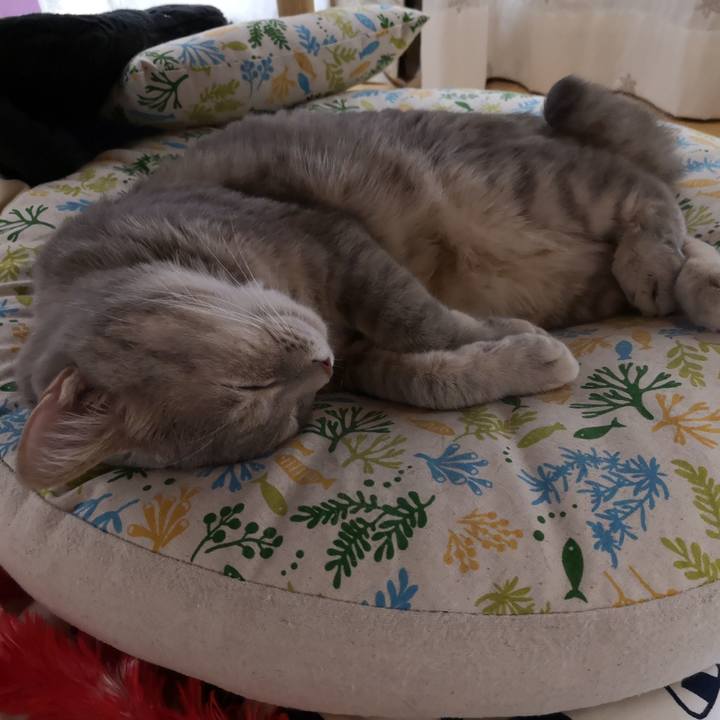 1019c939 cbab 47c2 ab3b b42cf9f1cb33 1562074995530