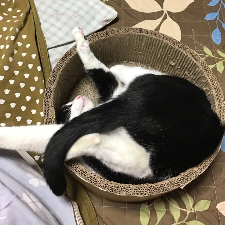 1019d039 83c8 48bb 85d0 c787d7d7d4a1 1732957884266