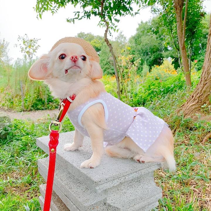 1019ec70 c0df 4f80 9c75 387b35d3b5e2 1631450735750