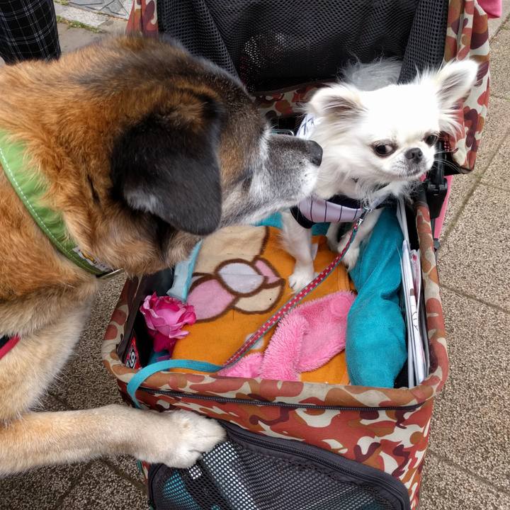 1019fefc 950c 417e b4de b8d17a3c3b95 1525222970374