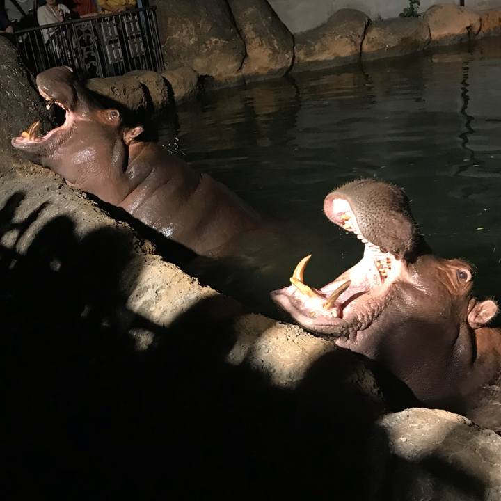 101a211a a32a 479b afcb 5f9992755476 1535955995416