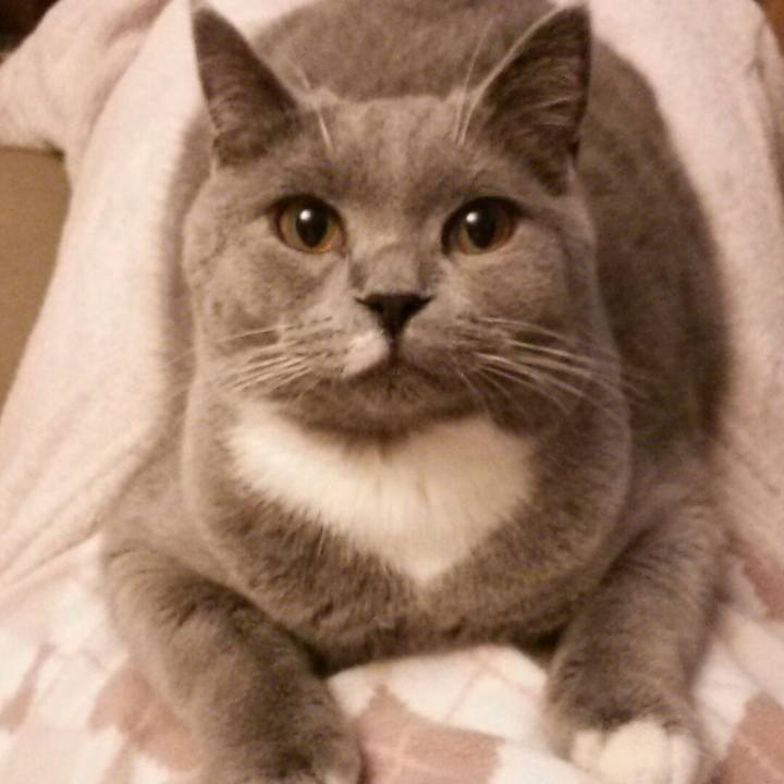 101a4550 1d62 4728 9c24 6a5d872bd60f 1544915693569